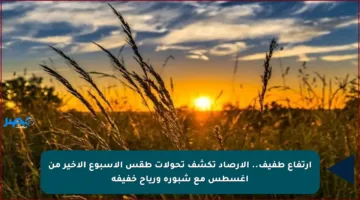 ارتفاع طفيف.. الأرصاد تكشف تحولات طقس الأسبوع الأخير من أغسطس مع شبورة ورياح خفيفة